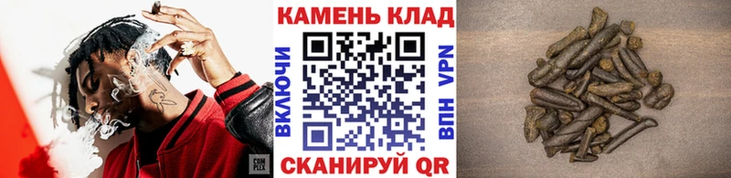 Гашиш Изолятор Пионерский