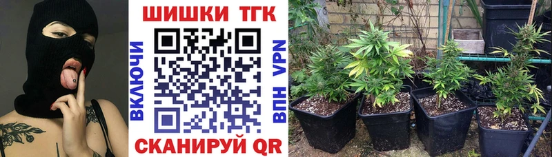 МАРИХУАНА Amnesia  Пионерский 